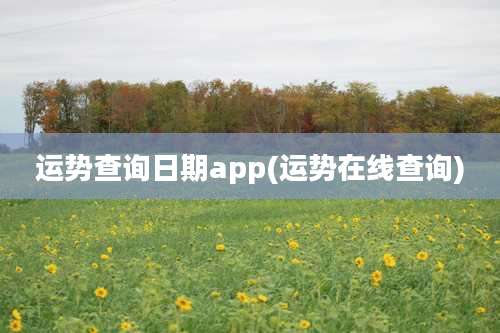 运势查询日期app(运势在线查询)