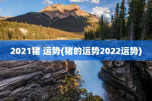 2021猪 运势(猪的运势2022运势)