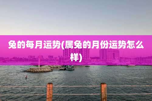 兔的每月运势(属兔的月份运势怎么样)