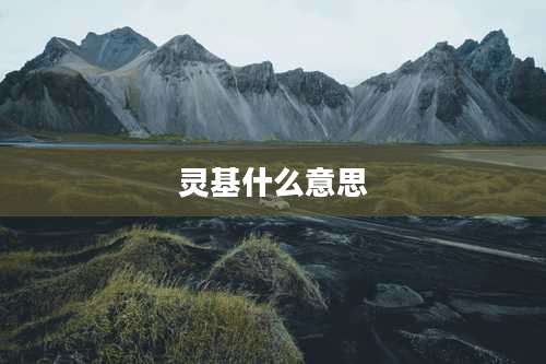 灵基什么意思