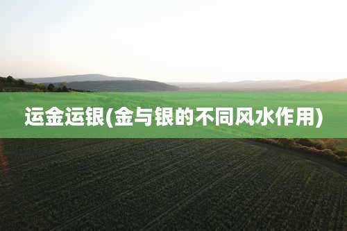 运金运银(金与银的不同风水作用)