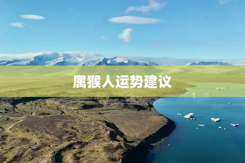 属猴人运势建议