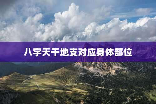 八字天干地支对应身体部位