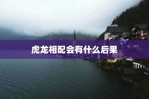 虎龙相配会有什么后果