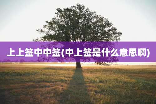 上上签中中签(中上签是什么意思啊)