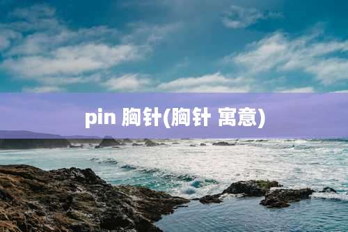 pin 胸针(胸针 寓意)
