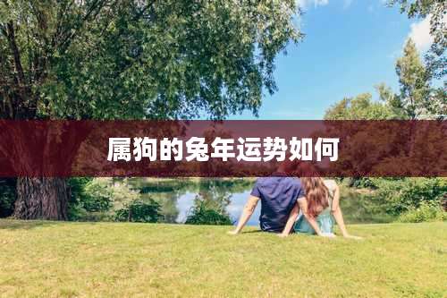 属狗的兔年运势如何