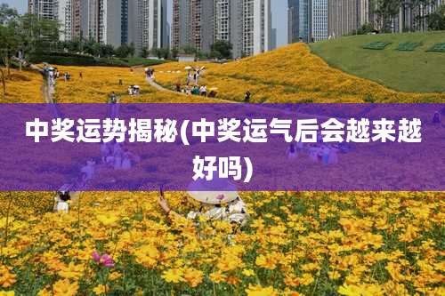 中奖运势揭秘(中奖运气后会越来越好吗)