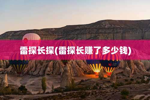 雷探长探(雷探长赚了多少钱)