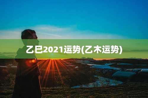 乙巳2021运势(乙木运势)