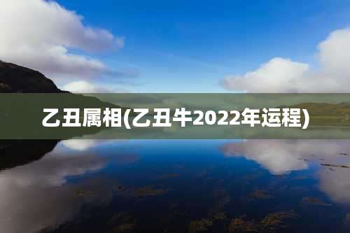 乙丑属相(乙丑牛2022年运程)