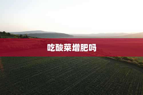 吃酸菜增肥吗