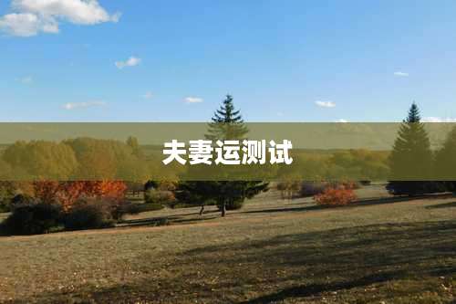 夫妻运测试