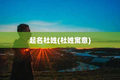 起名杜姓(杜姓寓意)