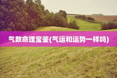 气数命理宝鉴(气运和运势一样吗)