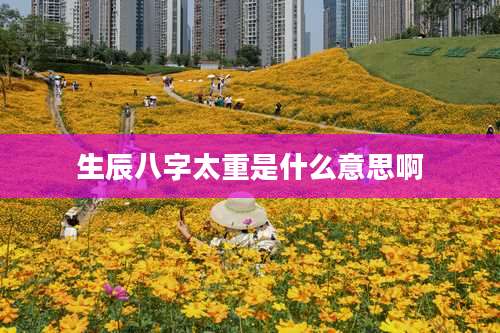生辰八字太重是什么意思啊