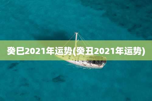 癸巳2021年运势(癸丑2021年运势)