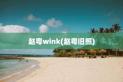 赵粤wink(赵粤旧照)