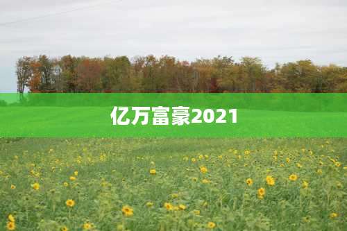 亿万富豪2021
