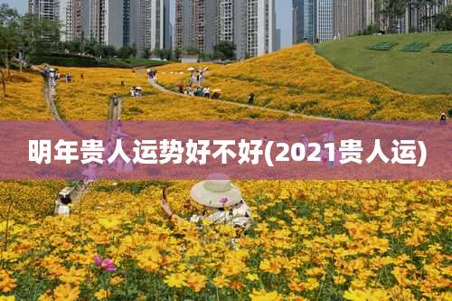 明年贵人运势好不好(2021贵人运)