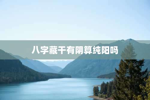 八字藏干有阴算纯阳吗