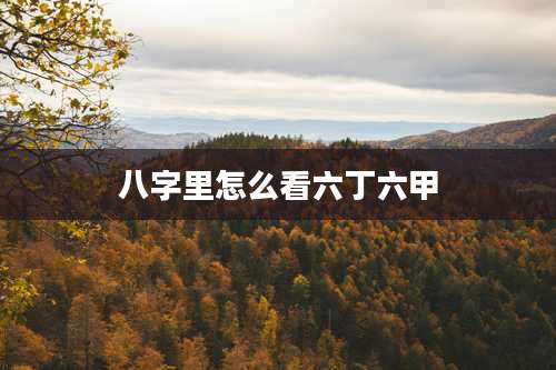 八字里怎么看六丁六甲