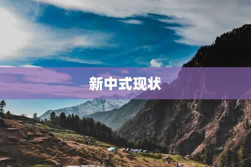 新中式现状