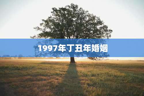 1997年丁丑年婚姻