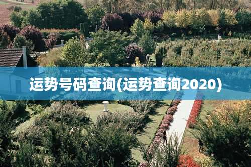 运势号码查询(运势查询2020)
