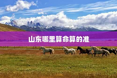 山东哪里算命算的准