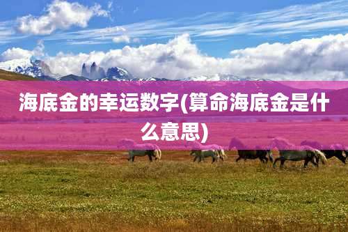 海底金的幸运数字(算命海底金是什么意思)