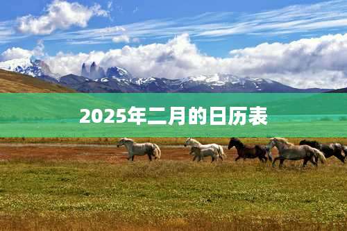 2025年二月的日历表