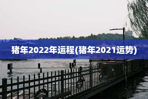 猪年2022年运程(猪年2021运势)