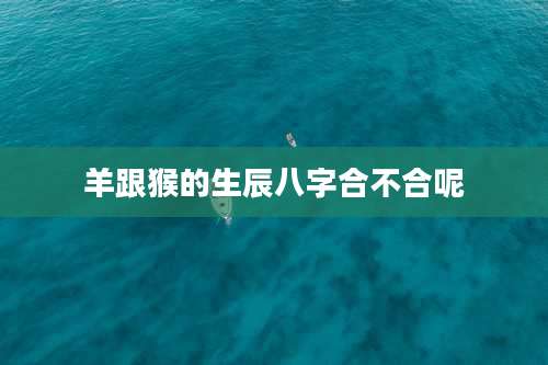 羊跟猴的生辰八字合不合呢