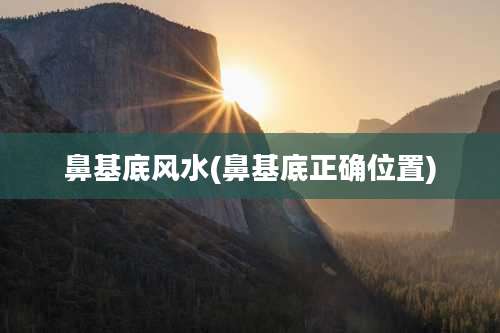 鼻基底风水(鼻基底正确位置)