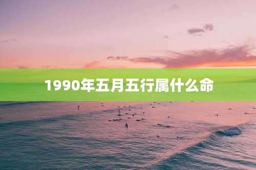 1990年五月五行属什么命
