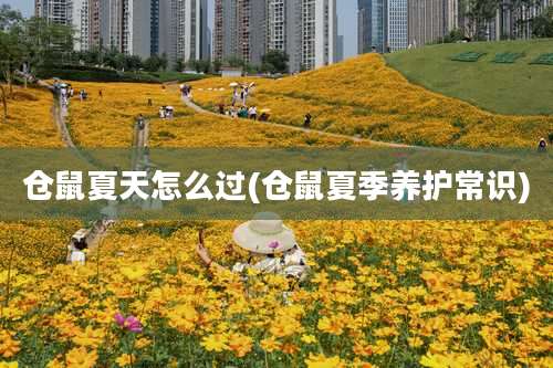 仓鼠夏天怎么过(仓鼠夏季养护常识)