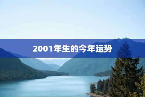2001年生的今年运势