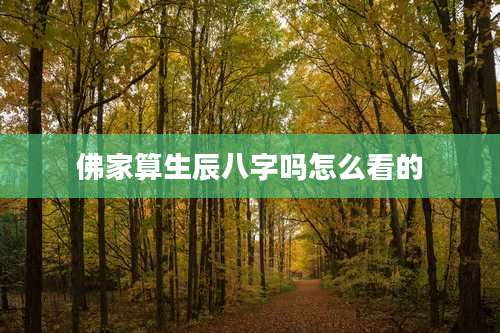 佛家算生辰八字吗怎么看的