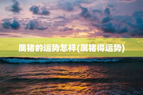 属猪的运势怎样(属猪得运势)