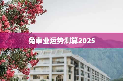 兔事业运势测算2025