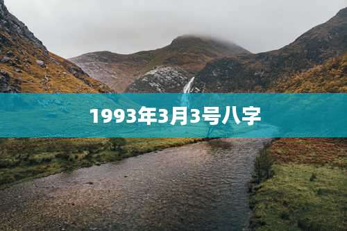 1993年3月3号八字