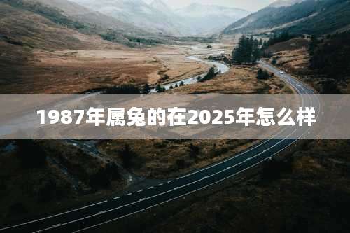 1987年属兔的在2025年怎么样
