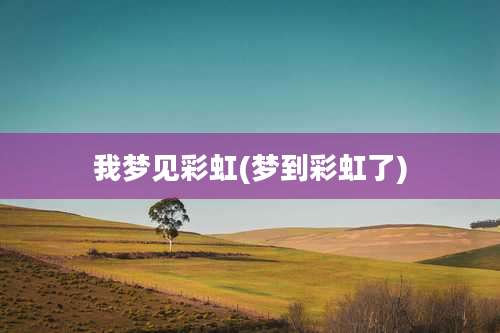 我梦见彩虹(梦到彩虹了)