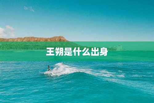 王朔是什么出身