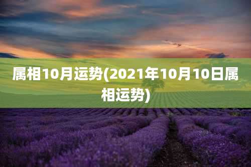 属相10月运势(2021年10月10日属相运势)