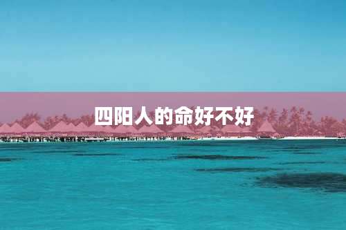 四阳人的命好不好
