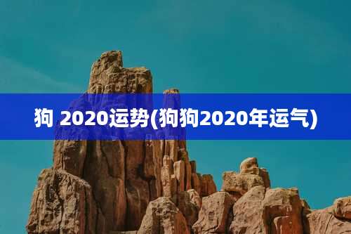 狗 2020运势(狗狗2020年运气)