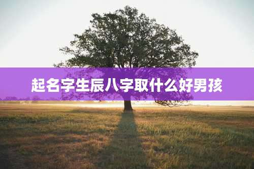 起名字生辰八字取什么好男孩