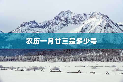 农历一月廿三是多少号